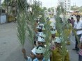 /album/vbs-rallies-retreats/palm-sunday-rally-in-different-areas-11-jpg/